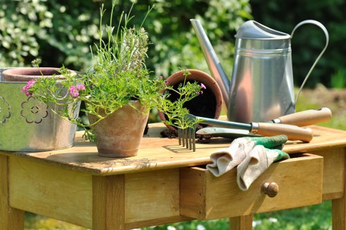 Seasonal garden maintenance in a Muswell Hill residential area