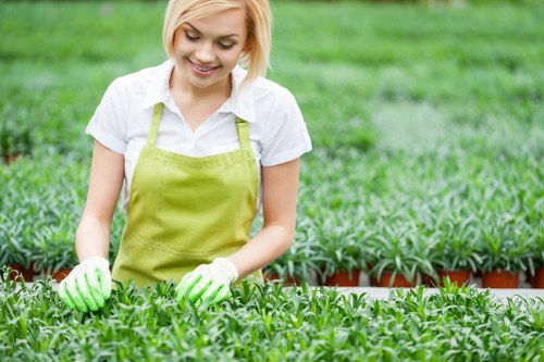 Gardener performing seasonal maintenance tasks in Muswell Hill garden