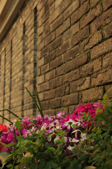 A close-up view of vibrant pink and white flowering plants, including ivy-leaved geraniums and other colorful blooms, growing along the base of a weathered brick garden wall. The soil appears moist an