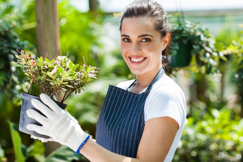 Muswell Hill garden maintenance by professional gardener