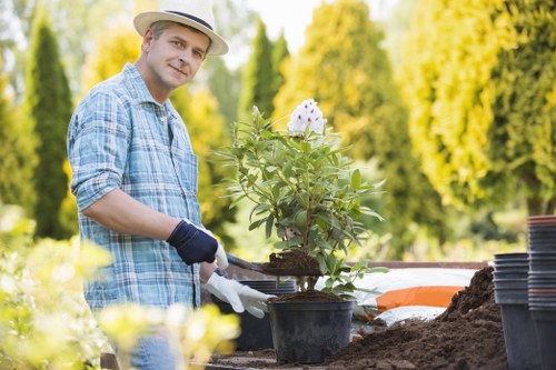 The image depicts a man in a blue checkered shirt, wearing a light-colored hat and gardening gloves, working in a well-maintained outdoor garden space. He is holding a small potted shrub with green foliage and a few white flowers, preparing to plant it into the soil in a designated garden bed. The foreground shows dark, freshly turned soil, and there are several empty black plant pots stacked nearby on the right. The background features a lush, green garden with tall trees and a hedge, indicating a private backyard or garden area within a residential property, possibly in the Muswell Hill area. The scene is brightly lit with natural sunlight, suggesting a clear day that is ideal for gardening activities. This outdoor environment highlights the elements typical of a landscaped garden, including grass, soil, plants, and planting tools, aligning with professional gardening and landscaping services provided by Gardener Muswell Hill.